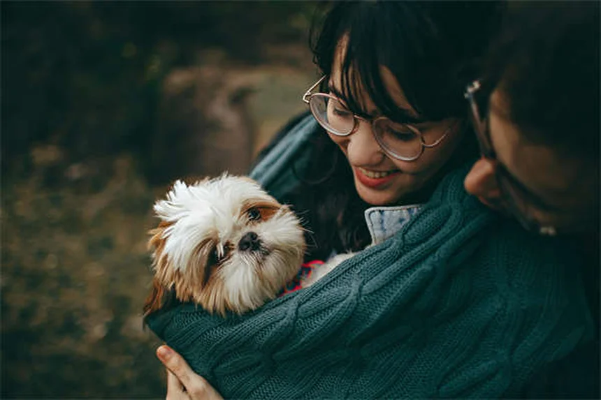 How Long Do Cats Live? 7 Proven Ways to Extend Your Cat's Lifespan